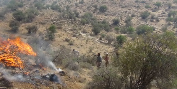 حرکت خودجوش مردم فارس برای مهار آتش درپاسارگاد
