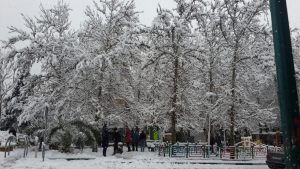 بارش برف تهران را سفید پوش کرد.