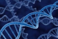 پژوهشگر شیرازی موفق به کشف بیماری ژنتیکی شد