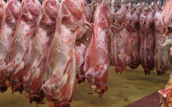 تولید بیش از ۷۰۰ تن گوشت قرمز در ارسنجان