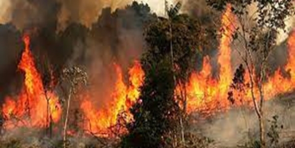 اطفای دو مورد آتش سوزی در پارک ملی بمو