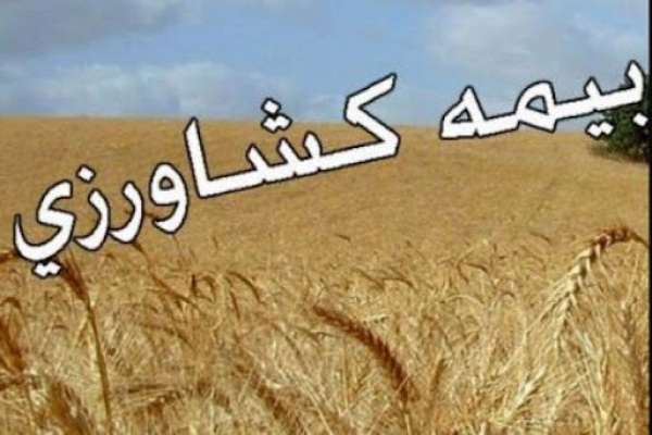 افزایش ۱۰۰ درصدی بیمه کشاورزی در شیراز