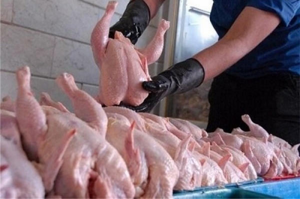توزیع10 تن مرغ گرم در ارسنجان
