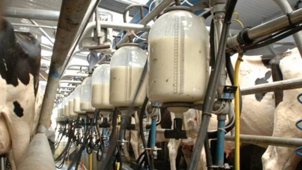 لزوم خرید شیرخام از تولیدکنندگان فارس با نرخ تضیمنی