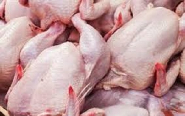 توزیع یک تن مرغ گرم با قیمت مصوب تنظیم بازار در ارسنجان