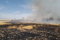 آتش ۵۸ هکتار مزرعه گندم در کازرون را سوزاند