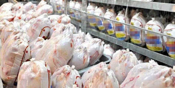 ذخیره ۱۰۰۰ تن مرغ منجمد در فارس