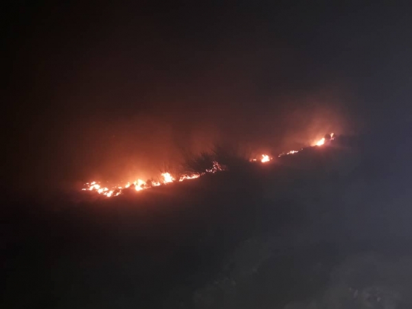 شعله های سرکش آتش در مناطق صعب‌العبور کوهستان دراک شیراز مهار شد