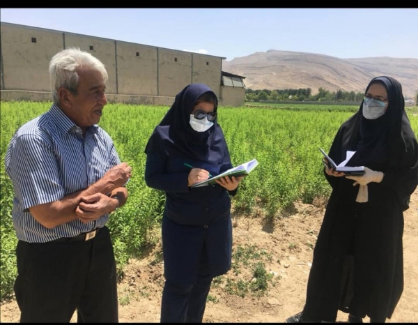 آغاز طرح نسخه نویسی گیاه پزشکی در شیراز