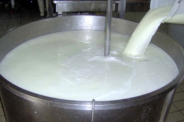 سهم 5 درصدی و تولید سالانه 35 هزار تن شیر در کازرون