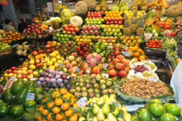 پرورش میوه‌های لوکس استوایی در داراب