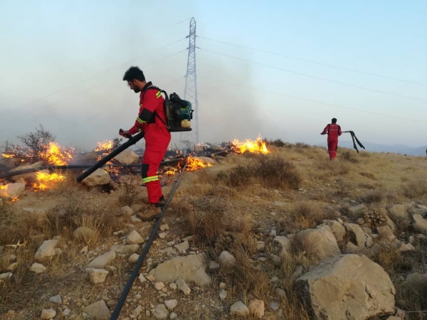 آتش سوزی گسترده در کوهستان دراک شیراز
