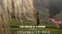 مستند «رویای یک اسب»||||