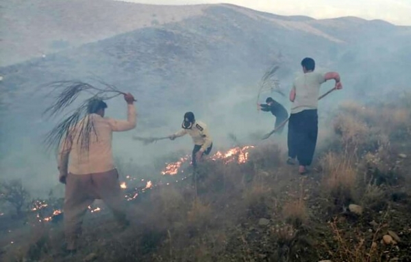 آتش سوزی تنگ هایقر سه قربانی گرفت/نیاز به کمک داریم