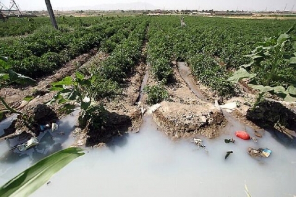 برخورد با متخلفان و استفاده کنندگان از فاضلاب برای آبیاری مزارع