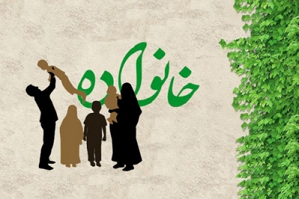 کمیته بانوان و خانواده شورای شهر شیراز تشکیل شد